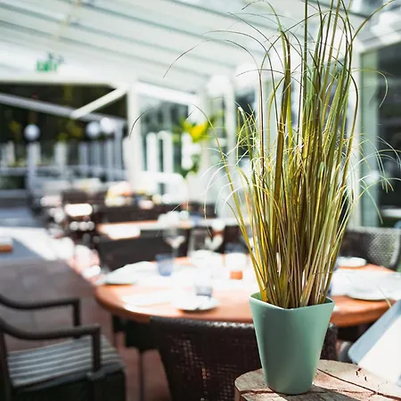 Seehotel Frankenhorst - Bw Signature Collection Otel 4*